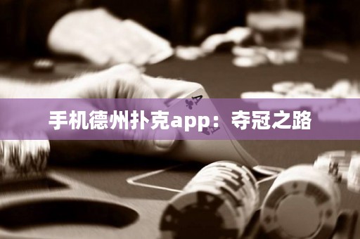 手機德州撲克app：奪冠之路