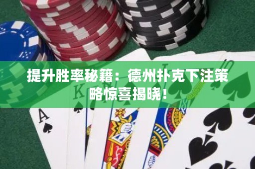 提升勝率秘籍：德州撲克下注策略驚喜揭曉！